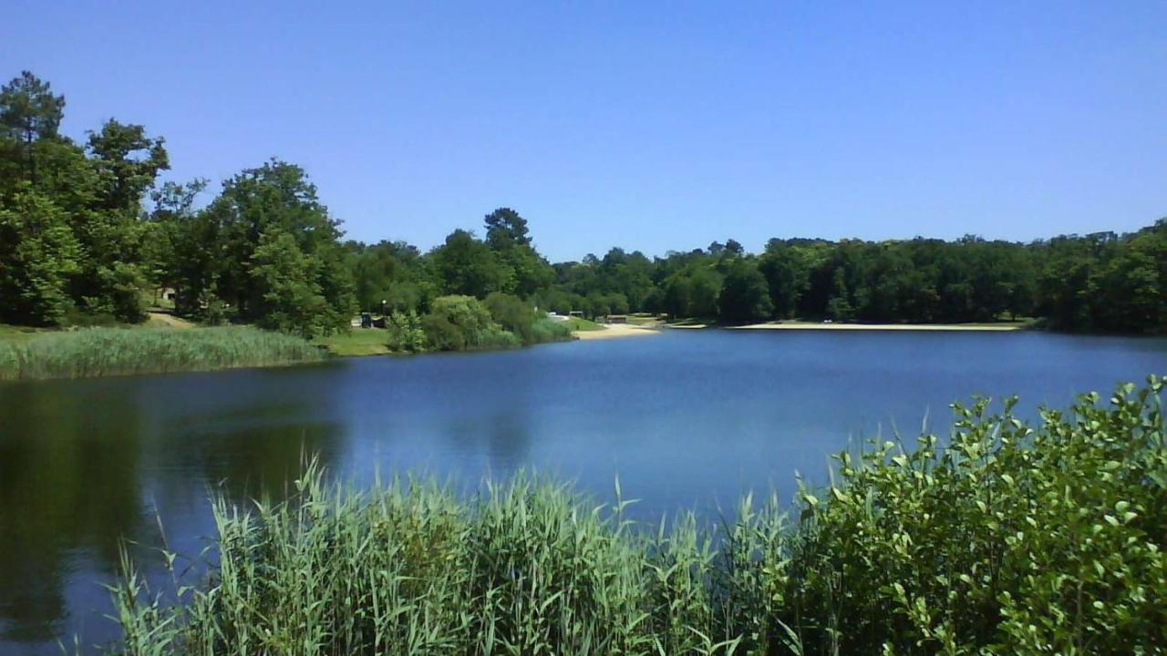 La Colline De Tilleul - Les Deux Puits - Cosy Cottage With Swimming Pool Near Aubeterre Saint-Romain  Luaran gambar