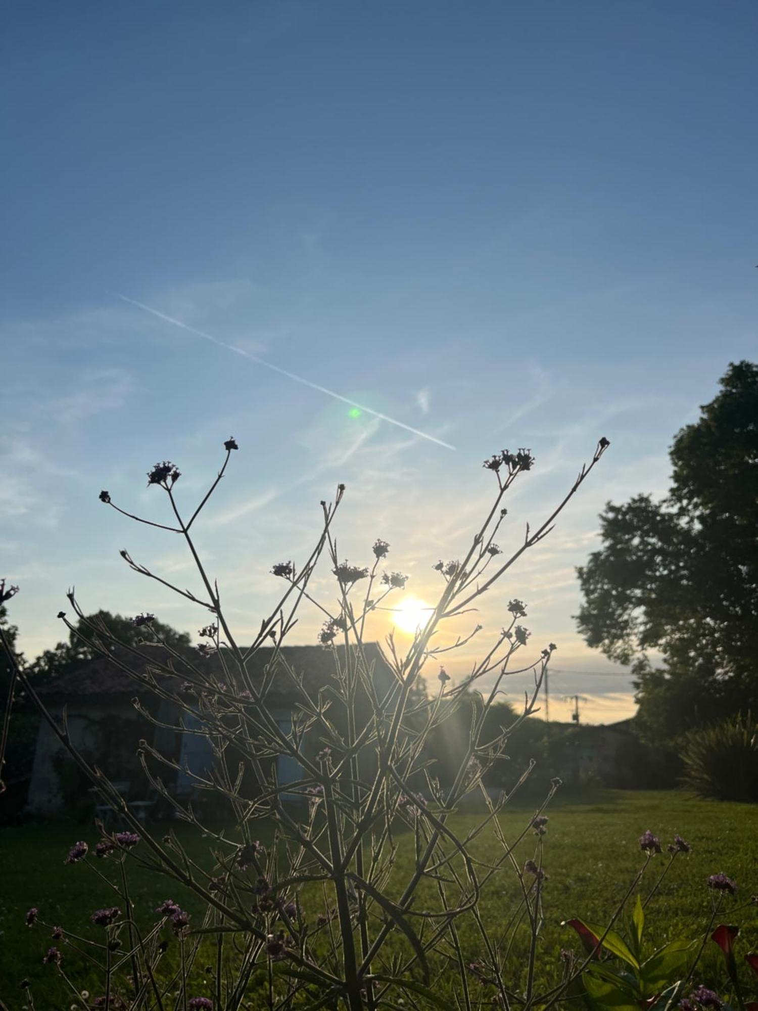 La Colline De Tilleul - Les Deux Puits - Cosy Cottage With Swimming Pool Near Aubeterre Saint-Romain  Luaran gambar