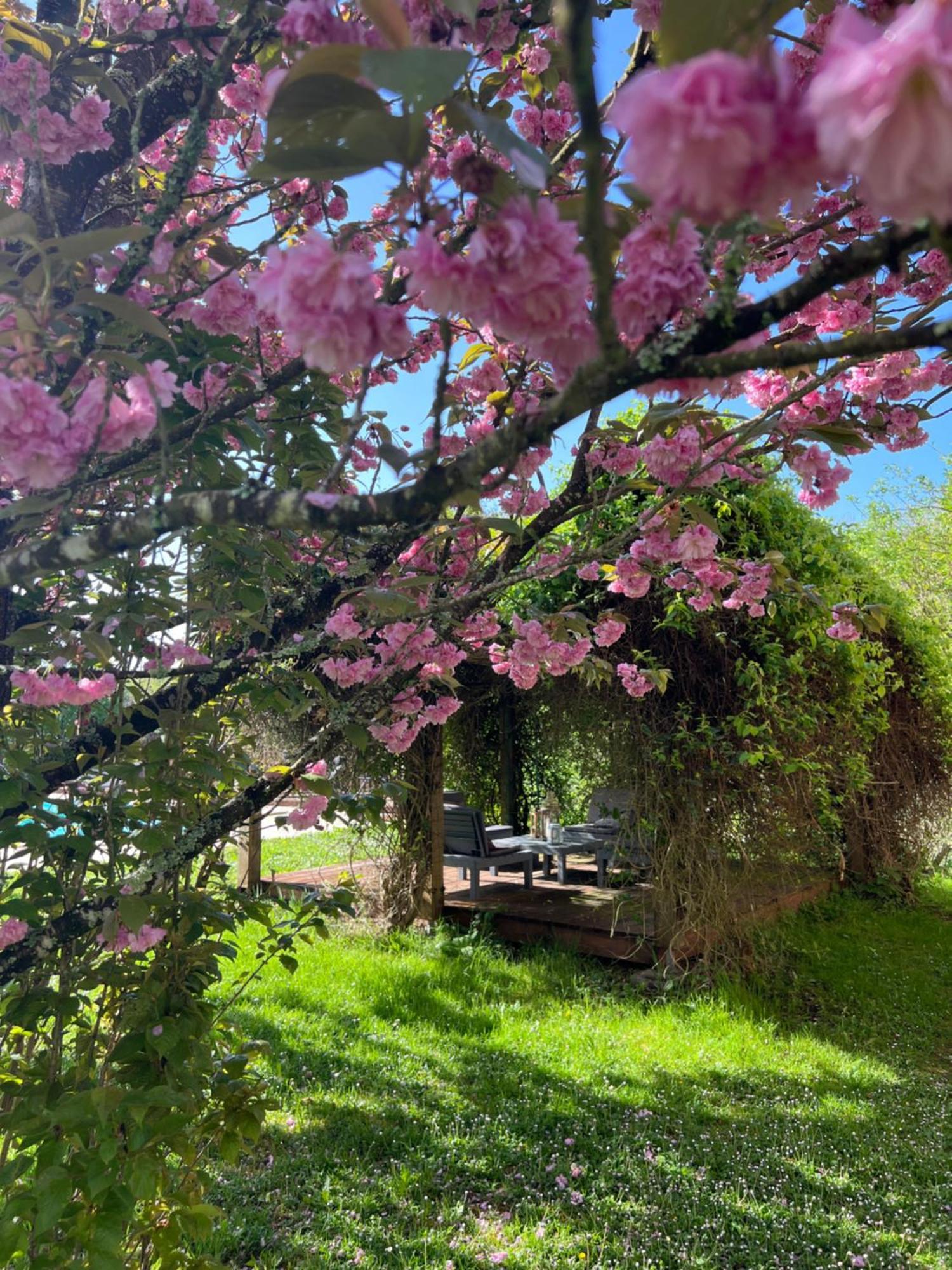 La Colline De Tilleul - Les Deux Puits - Cosy Cottage With Swimming Pool Near Aubeterre Saint-Romain  Luaran gambar
